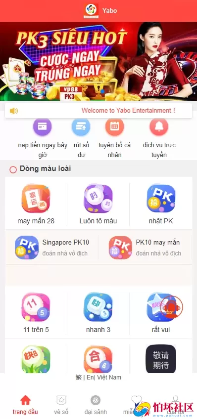 越南彩票系统源码,多语言幸运28房间双面盘玩法模式,国外彩票系统程序
