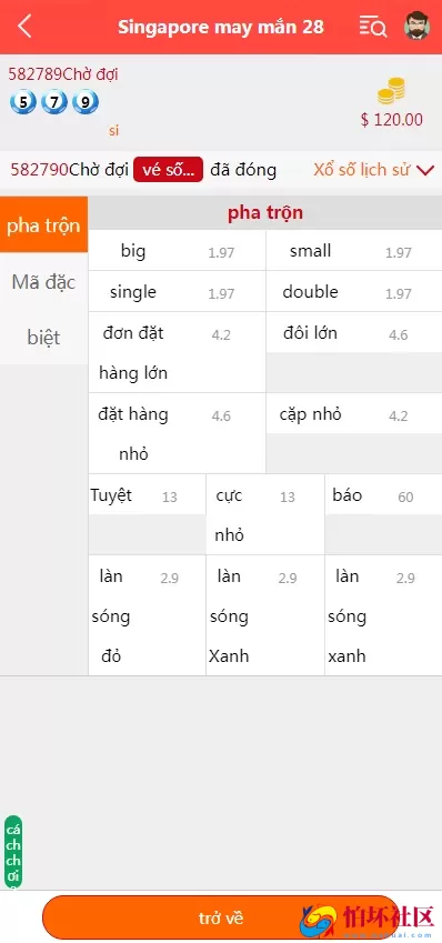 越南彩票系统源码,多语言幸运28房间双面盘玩法模式,国外彩票系统程序