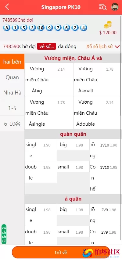 越南彩票系统源码,多语言幸运28房间双面盘玩法模式,国外彩票系统程序