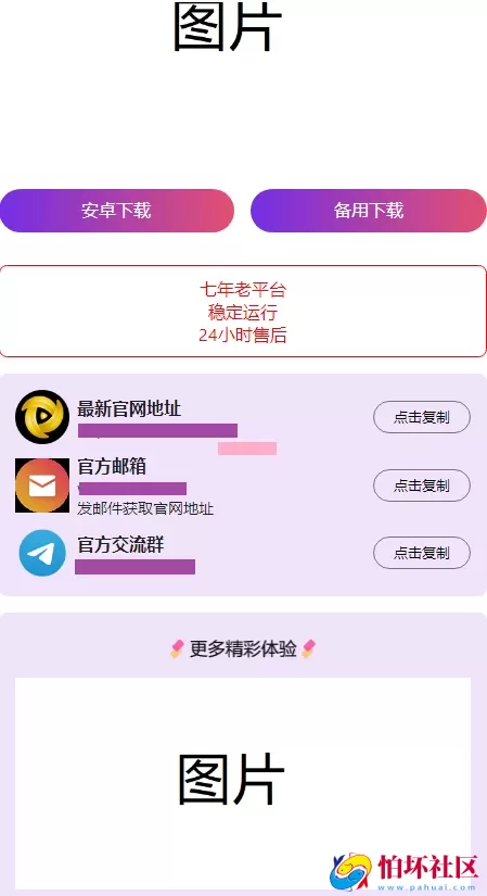 2024年首发最火的软件宣传单页程序源码