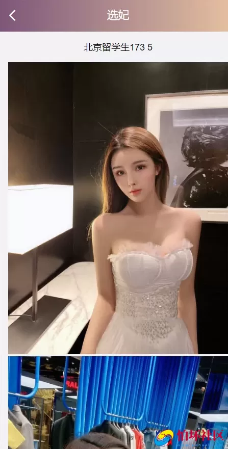 视频同城空降任务系统源码,视频投注任务平台运营版程序,VUE源代码