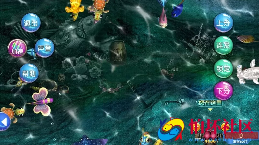 APP金币玩法之850棋牌游戏平台完整全套源码程序