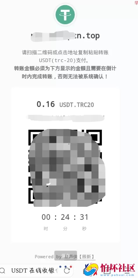一款适用于彩虹易支付的 USDT(TRC20)收款插件