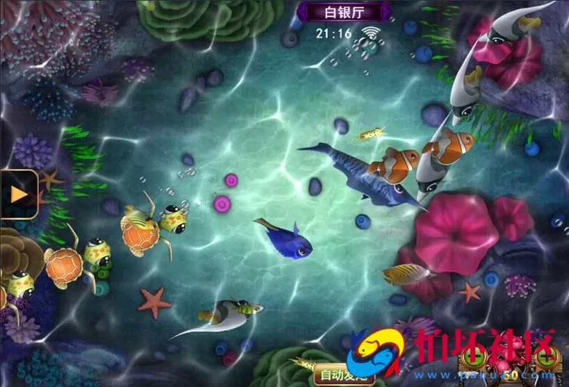 APP金币玩法之Linux版星力9代电玩城棋牌游戏平台源码