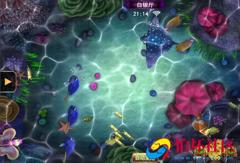 APP金币玩法之Linux版星力9代电玩城棋牌游戏平台源码