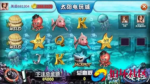 APP金币玩法之网狐深度二开版太阳城电玩棋牌游戏平台源码运营版程序