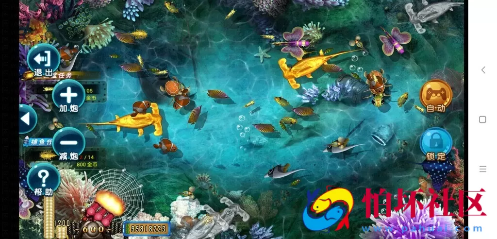 三网通真钱类型之龙珠电玩城 新版本 棋牌游戏全套程序组件