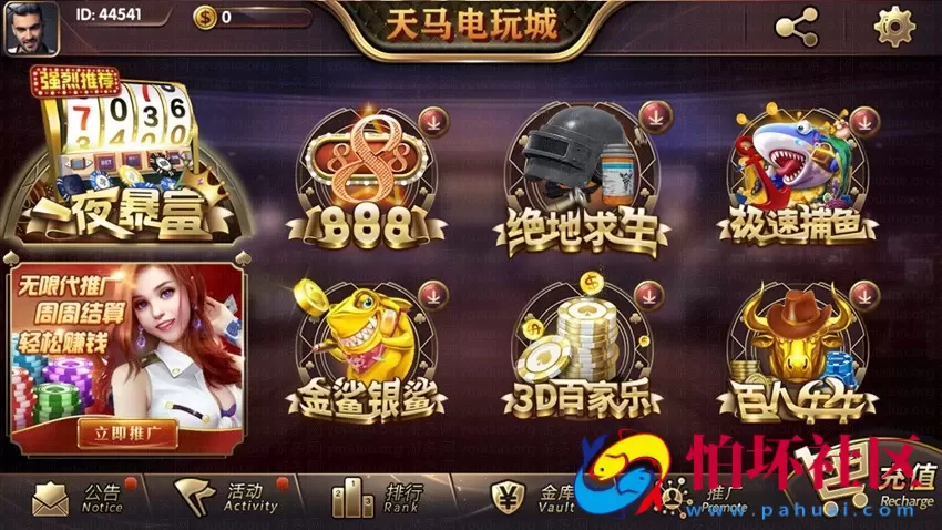 APP金币玩法之全新天马电玩棋牌游戏运营版本程序（一夜暴富）含加解密工具