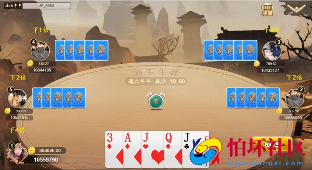 H5金币玩法之H5自适应猫娱乐棋牌源码橦树娱乐游戏程序（控制输赢+无授权）
