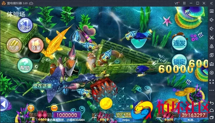 APP金币玩法之325电玩城棋牌游戏平台原版源码程序（含搭建视频教程）