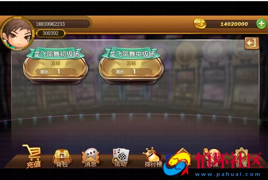 三网通房卡+金币玩法之太阳岛游戏平台_电玩城棋牌大厅（完整全套源码）