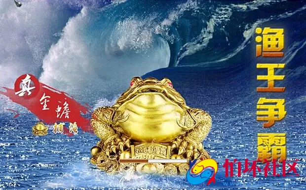 电脑版金币玩法之渔王争霸捕鱼游戏程序源码（真金蟾捕鱼516原版）