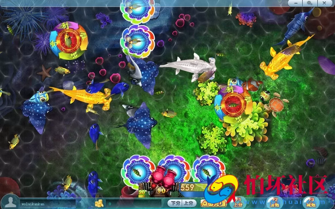 电脑版金币玩法之渔王争霸捕鱼游戏程序源码（真金蟾捕鱼516原版）