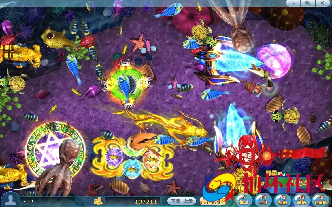 电脑版金币玩法之渔王争霸捕鱼游戏程序源码（蛇行亿年516原版）