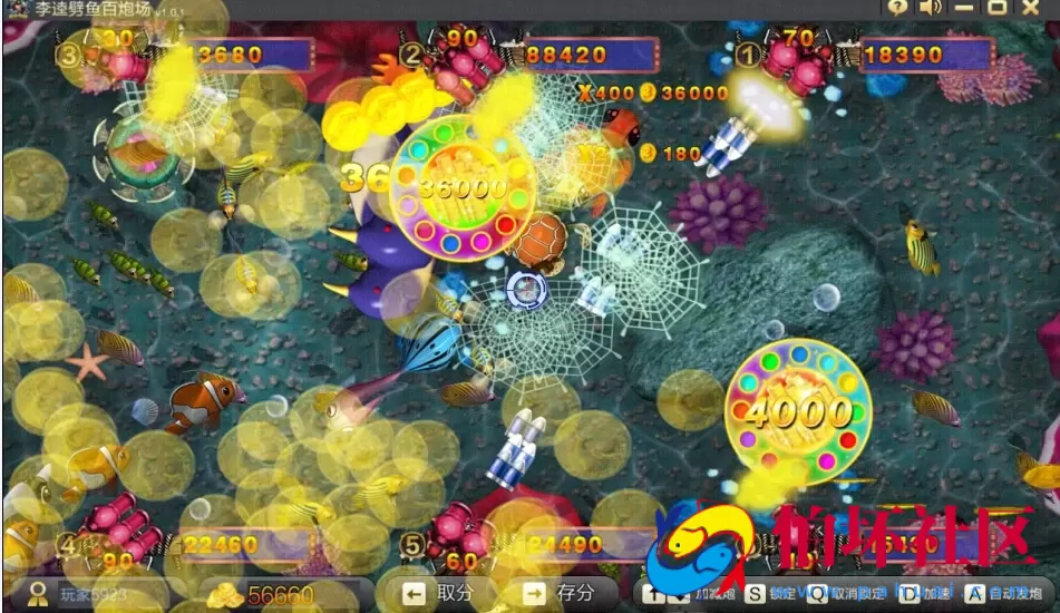 三网通金币玩法之三网互通棋牌游戏程序源码【大富豪兔女版】