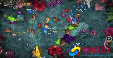 APP金币玩法之红鸟系列天宝棋牌程序完美运营版程序