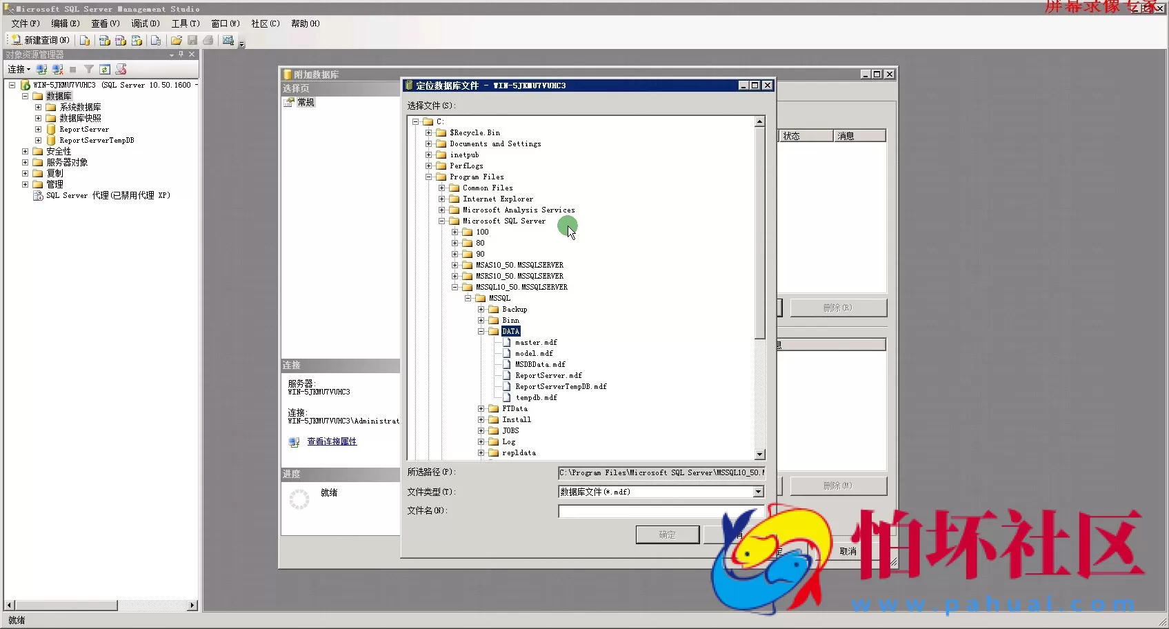 三网通金币玩法教程之星际同城游数据库的安装教程（第一课）