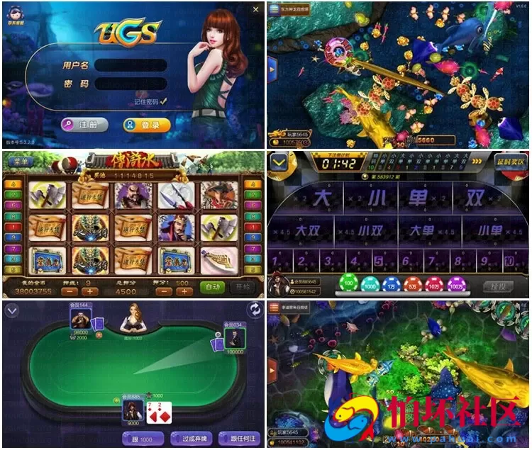 三网通金币玩法之大富豪UGS 5.3版本棋牌游戏完整全套程序源码