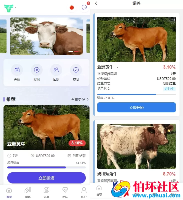 多语言养殖投资系统源码 养牛投资返利 养牛资金盘 前端VUE 附搭建教程