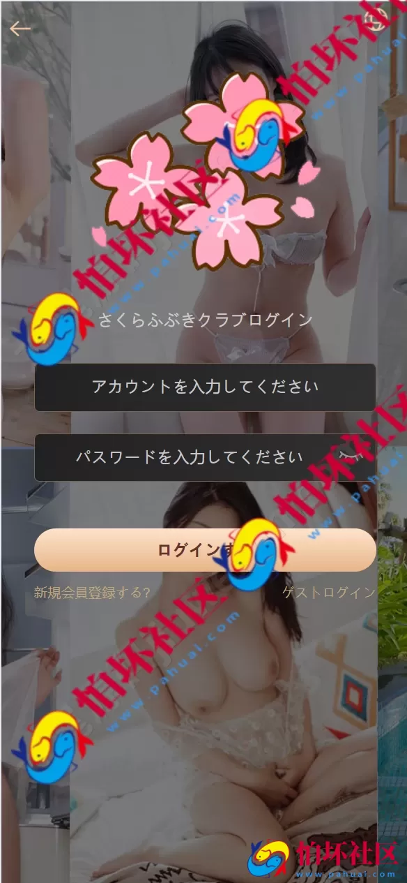 全新海外多语言同城任务系统源码 Vue前端+空降约会+系统彩可控模式+全开源程序可运营