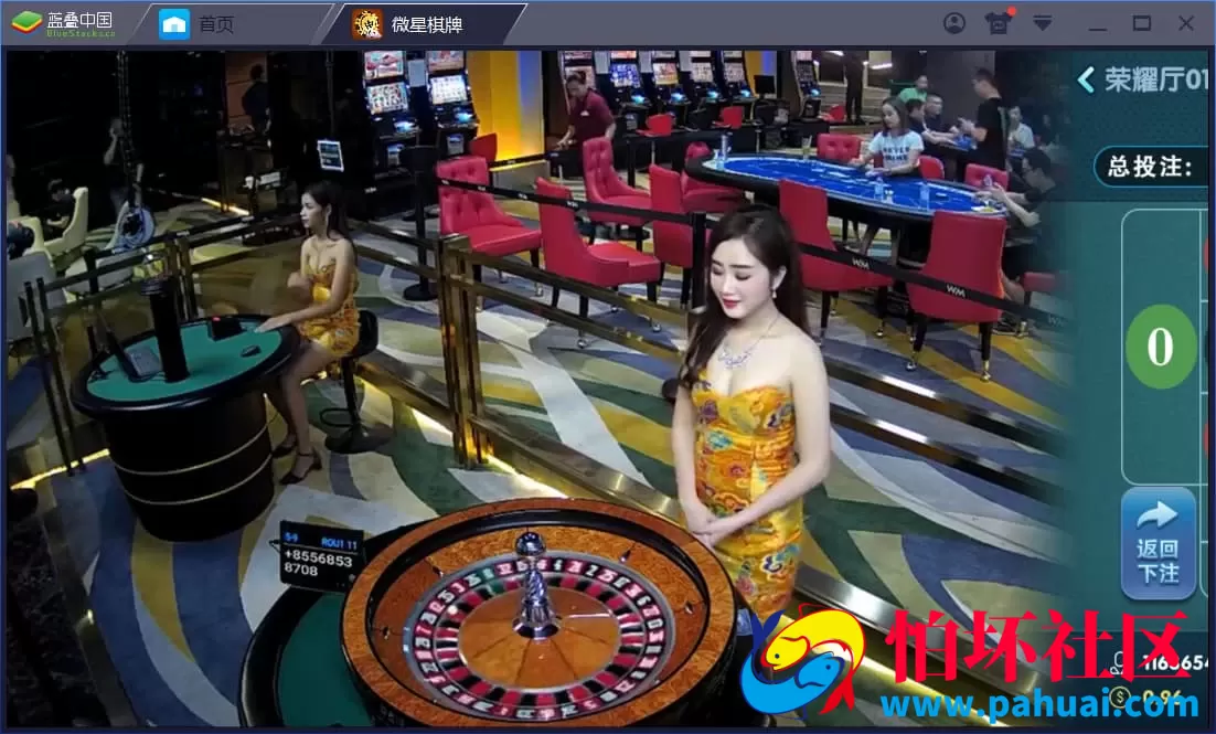 微星娱乐棋牌游戏源码26款热门真钱1:1游戏程序组件大全