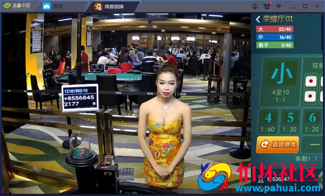 微星娱乐棋牌游戏源码26款热门真钱1:1游戏程序组件大全