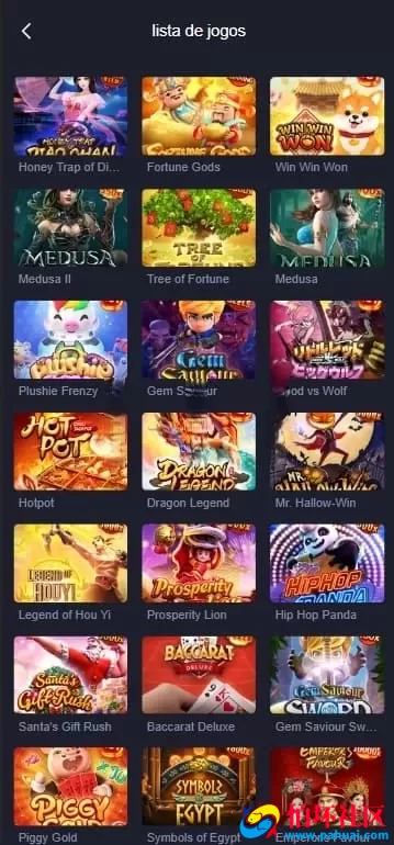 ThinkPHP开发PG源码 完整版巴西电子平台程序 NG接口支持