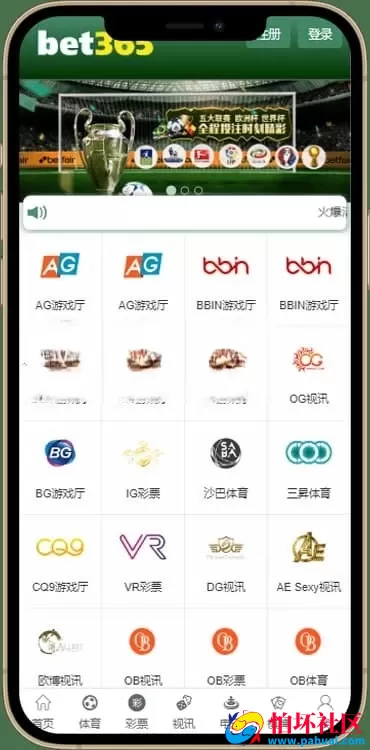 NG接口官方版源码程序包网系统多模板+演示站源码 附搭建教程