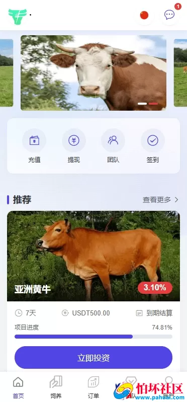 多语言养殖投资系统源码 养牛投资返利 养牛资金盘 前端VUE 附搭建教程