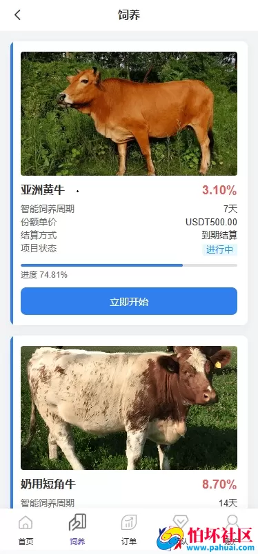 多语言养殖投资系统源码 养牛投资返利 养牛资金盘 前端VUE 附搭建教程