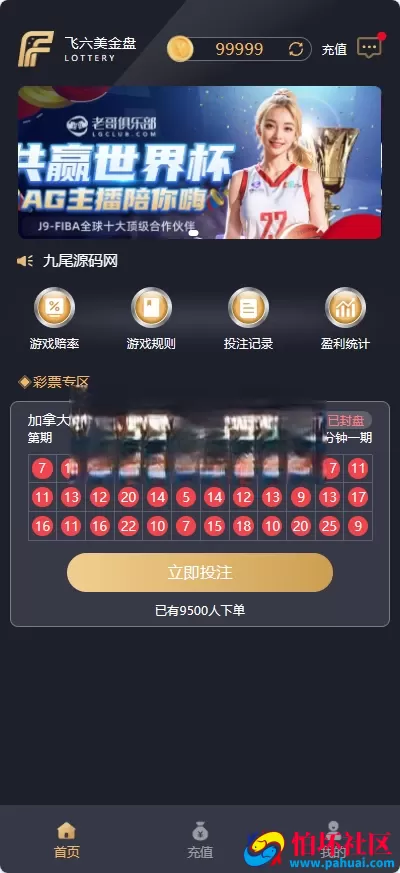 加拿大28源码 飞六美金盘 多国语言28程序源码 飞六美金盘源码 老哥俱乐部 多玩法追号 完美运营版