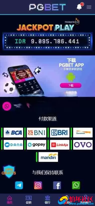 PGBET电子游戏源码 PGslots老虎机多国语言程序 欧美SLOTS老虎机 日韩SLOTS老虎机 BC综合盘源码 体育真人电子彩票程序 支付已对接 网站语言可定制