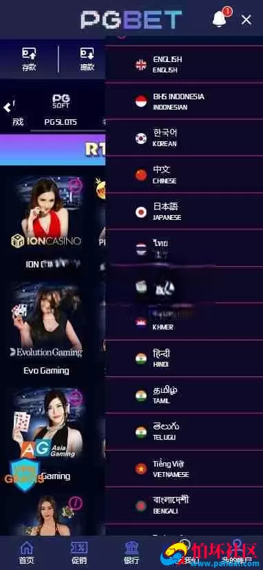 PGBET电子游戏源码 PGslots老虎机多国语言程序 欧美SLOTS老虎机 日韩SLOTS老虎机 BC综合盘源码 体育真人电子彩票程序 支付已对接 网站语言可定制