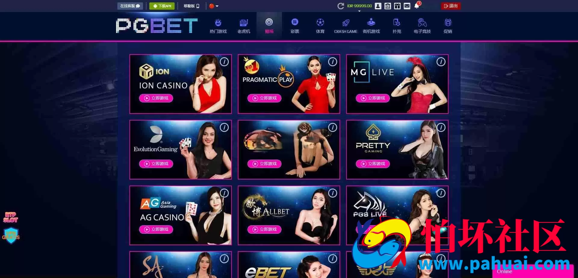 PGBET电子游戏源码 PGslots老虎机多国语言程序 欧美SLOTS老虎机 日韩SLOTS老虎机 BC综合盘源码 体育真人电子彩票程序 支付已对接 网站语言可定制