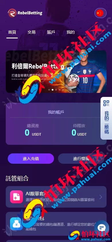 rebelbetting体育套利投资平台源码 理财投资程序 资金盘源码 附带搭建教程
