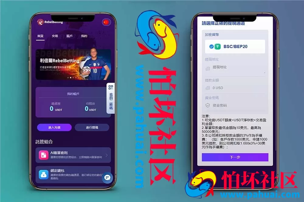 rebelbetting体育套利投资平台源码 理财投资程序 资金盘源码 附带搭建教程