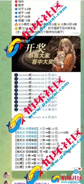首发赢都娱乐28源码 赢都加拿大28机器人源码 加拿大28机器人源码 TG机器人28程序源码 附带搭建教程