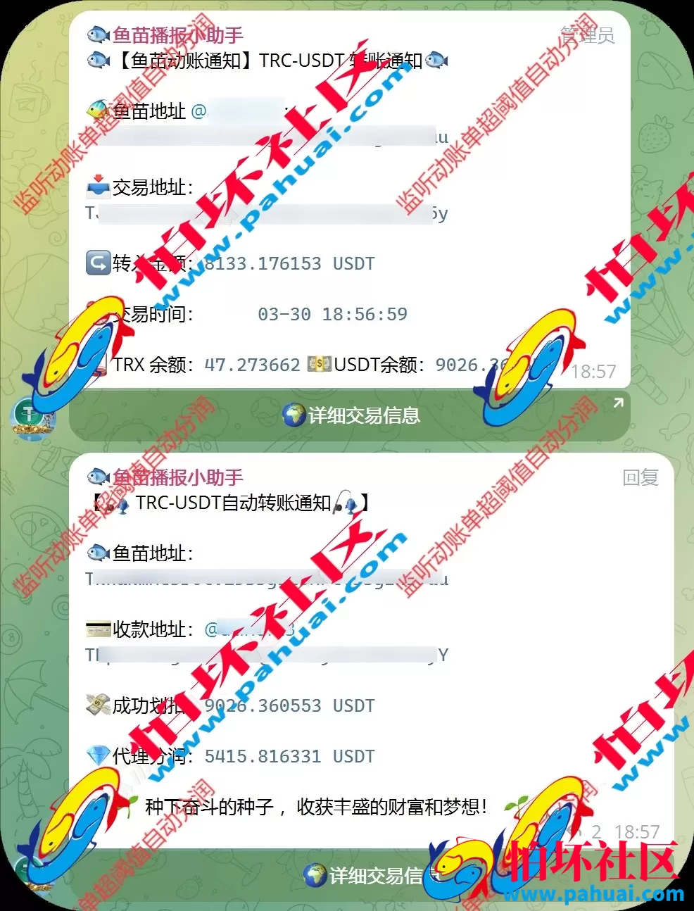 新版USDT盗U系统 自动转账授权玩法程序 支持TP im钱包无授权提示 TG鱼苗到账提醒源码 附带完整视频教程