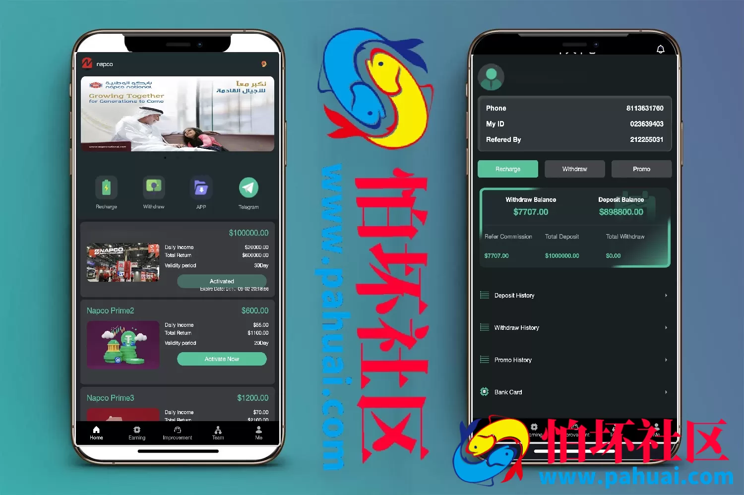 Napco海外投资理财程序源码 前端html+后端PHP