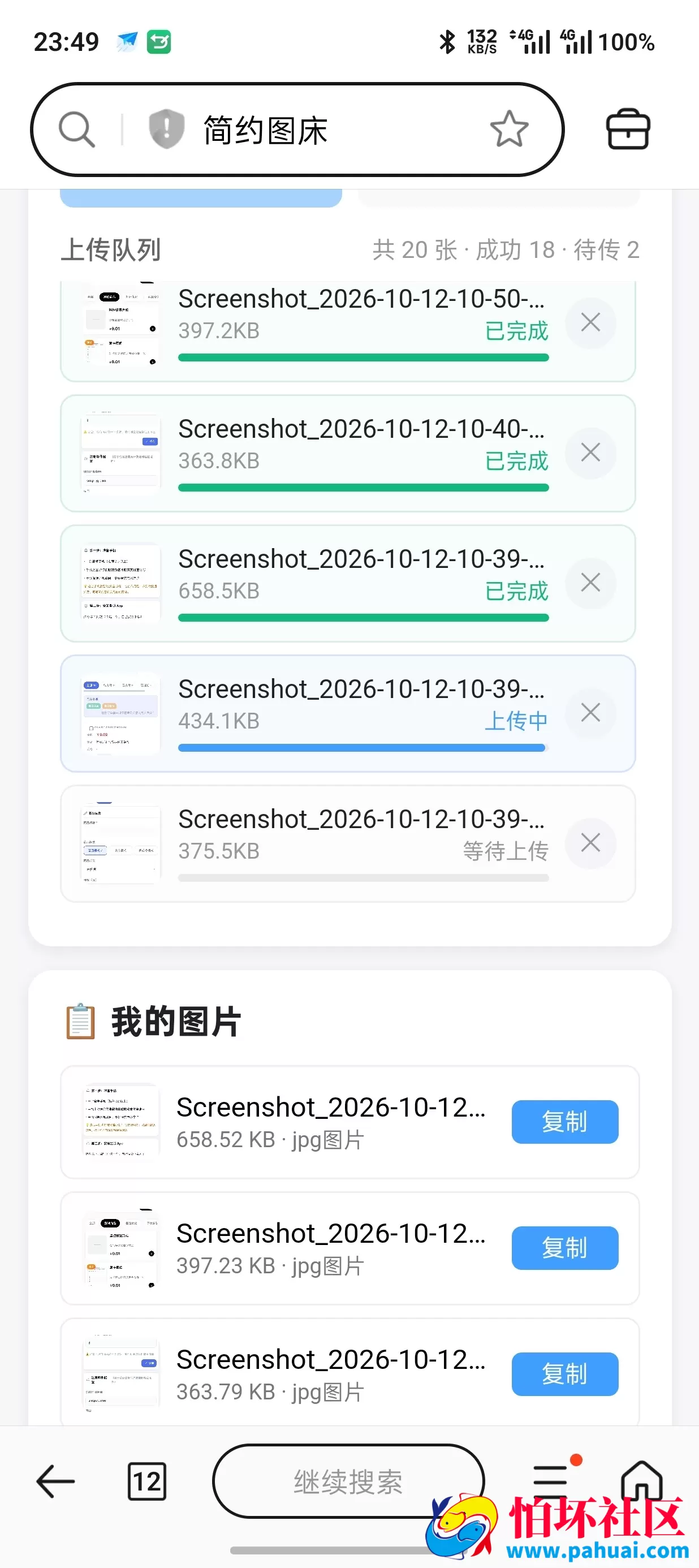 简约图床程序源码共享100G最大上传20M